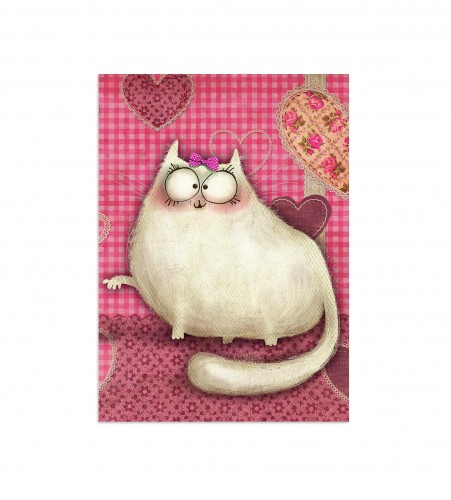 Notebouc Chat Perlipepette